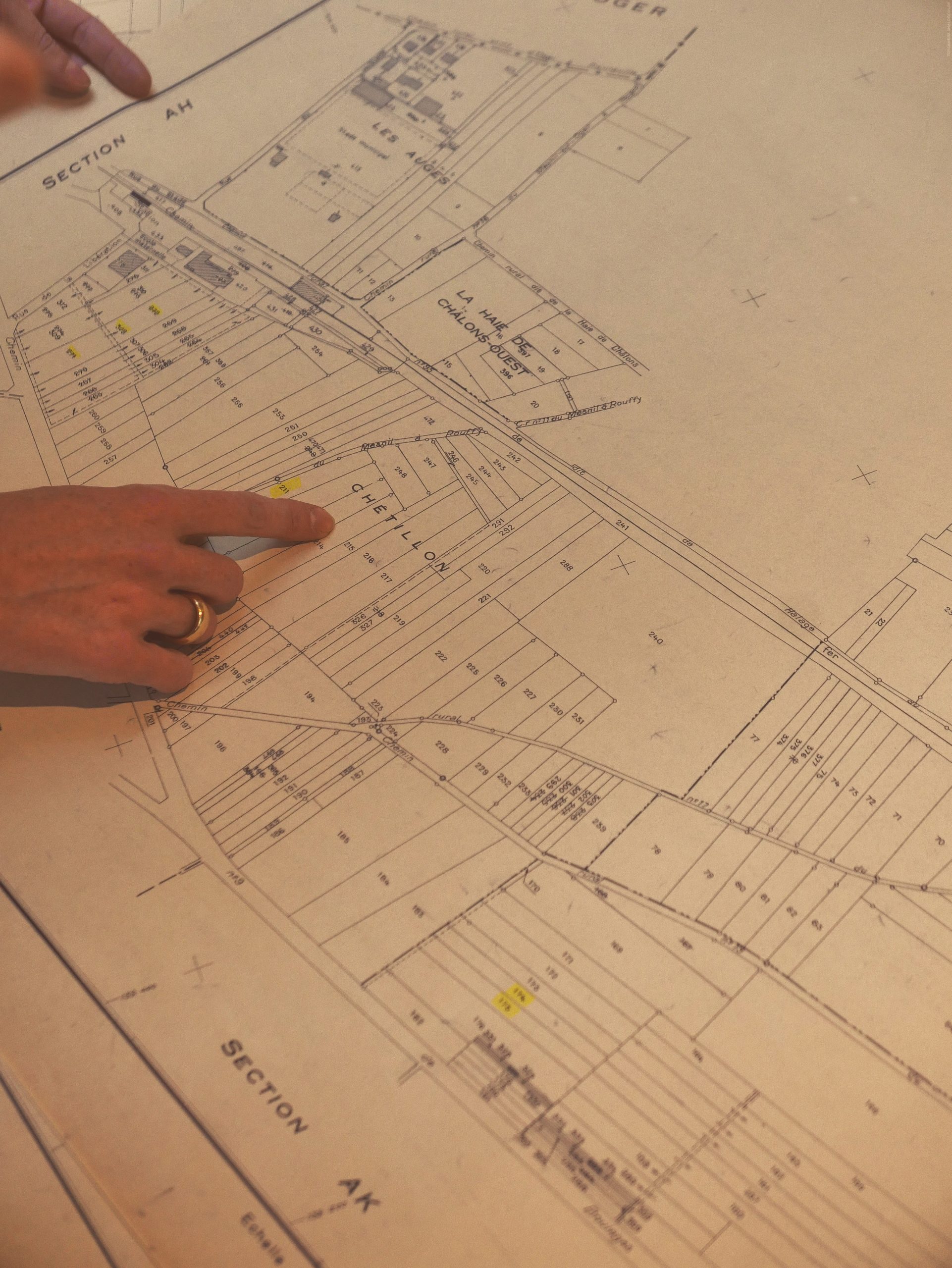 Plan des parcelles